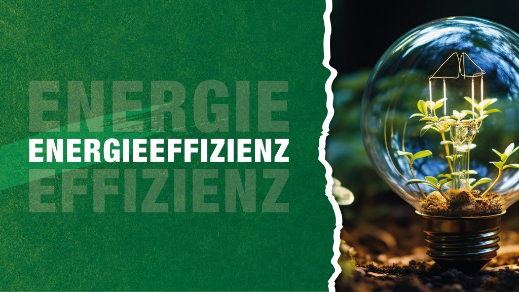 Energieeffizienz mit BIO-CIRCLE-Produkten