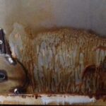 Rauchharz entfernen mit Rauchharz-Entferner - Einwirken lassen