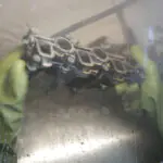 Teilereinigung_HP Vigo__G30027