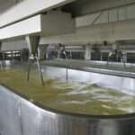 Lebensmittelindustrie_E-NOX Shine_A50170