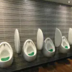 Urinnal_Kalk-Barrakuda_A50002