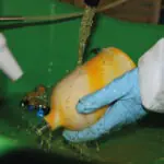 Anwendungsfoto_PROLAQ_Compact_G90010_(2)