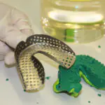 Gebisschienenreinigung_PROLAQ L 400_A02069