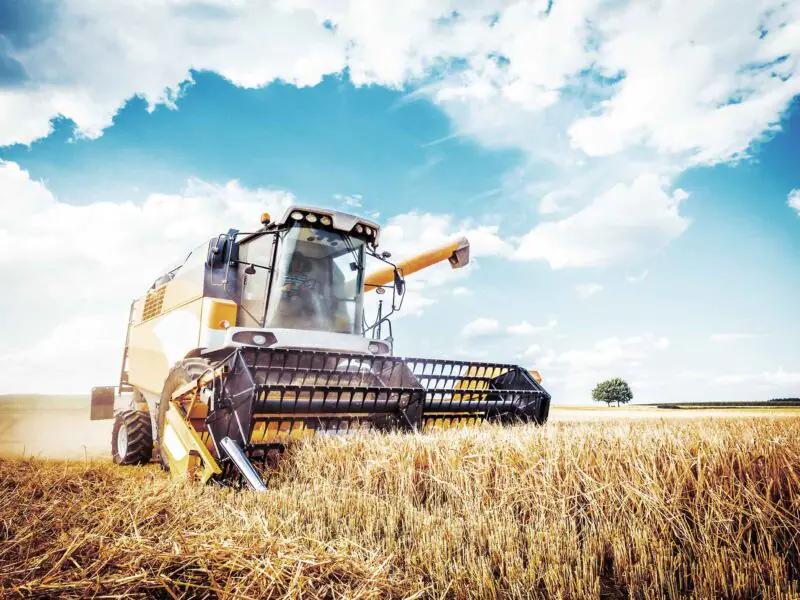 Mähdrescher auf dem Feld