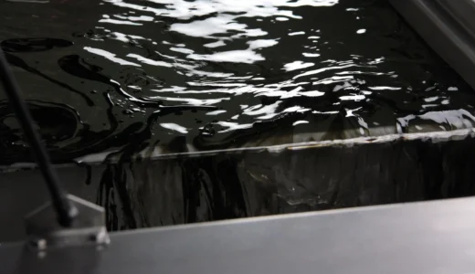 Oele und Fette im Ultraschallbad