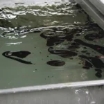 Anwendungsfoto der Ultra Sonic Cean Line