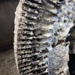 Wicklungen eines Elektromotor bei der Reinigung mit CB 100 V