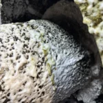 Schaumreinigung von Wicklungen eines Elektromotors bei der Anwendung mit CB 100 V